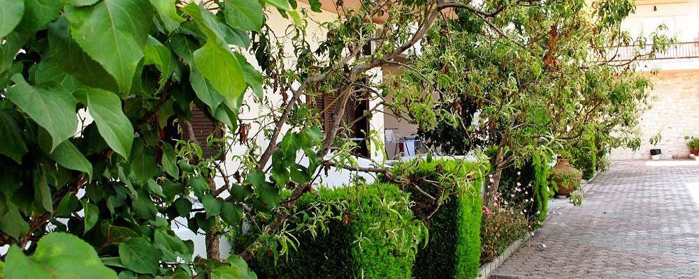 Skentos Hotel Kriopigi Dış mekan fotoğraf
